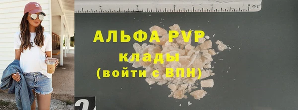 прущие крисы Бородино