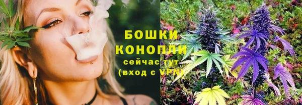 молекула духа Бронницы