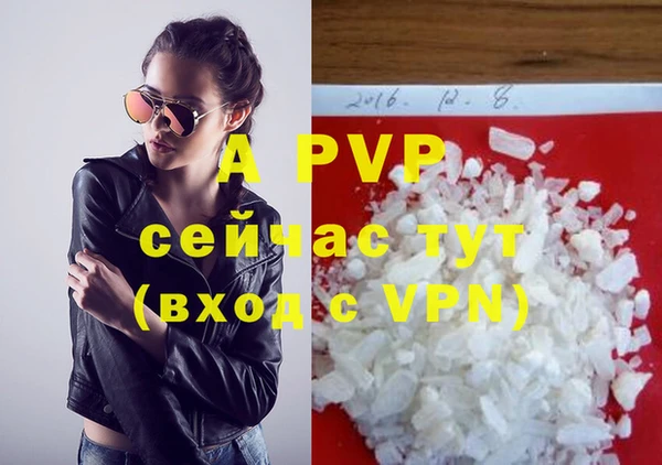 прущие грибы Бугульма