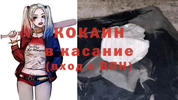 прущие крисы Бородино