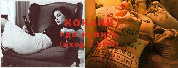 шишки Богородицк