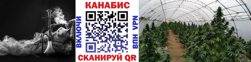 Бошки марихуана OG Kush где найти наркотики Кузнецк